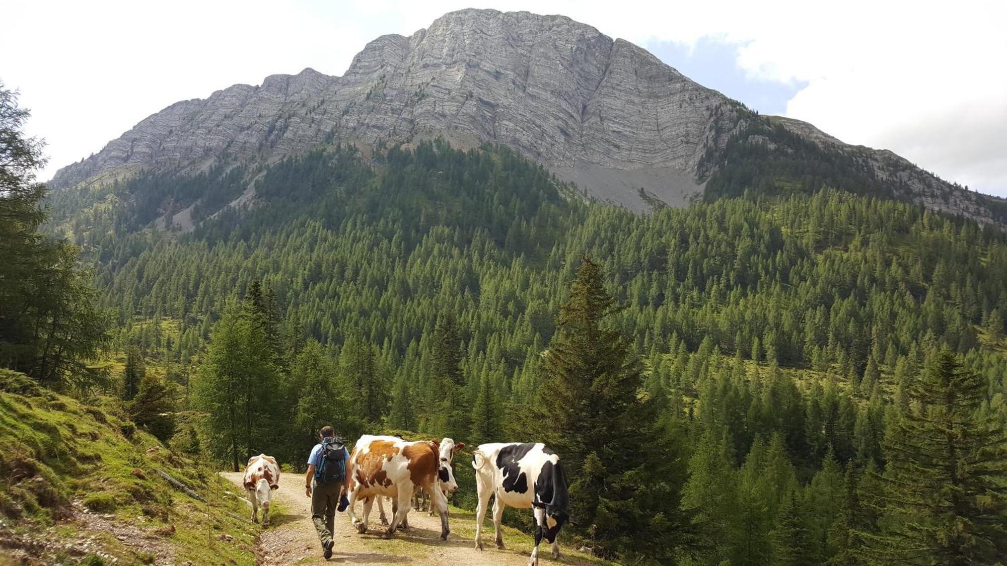 Gasthof Pension Perauer Lieserhofen Kültér fotó