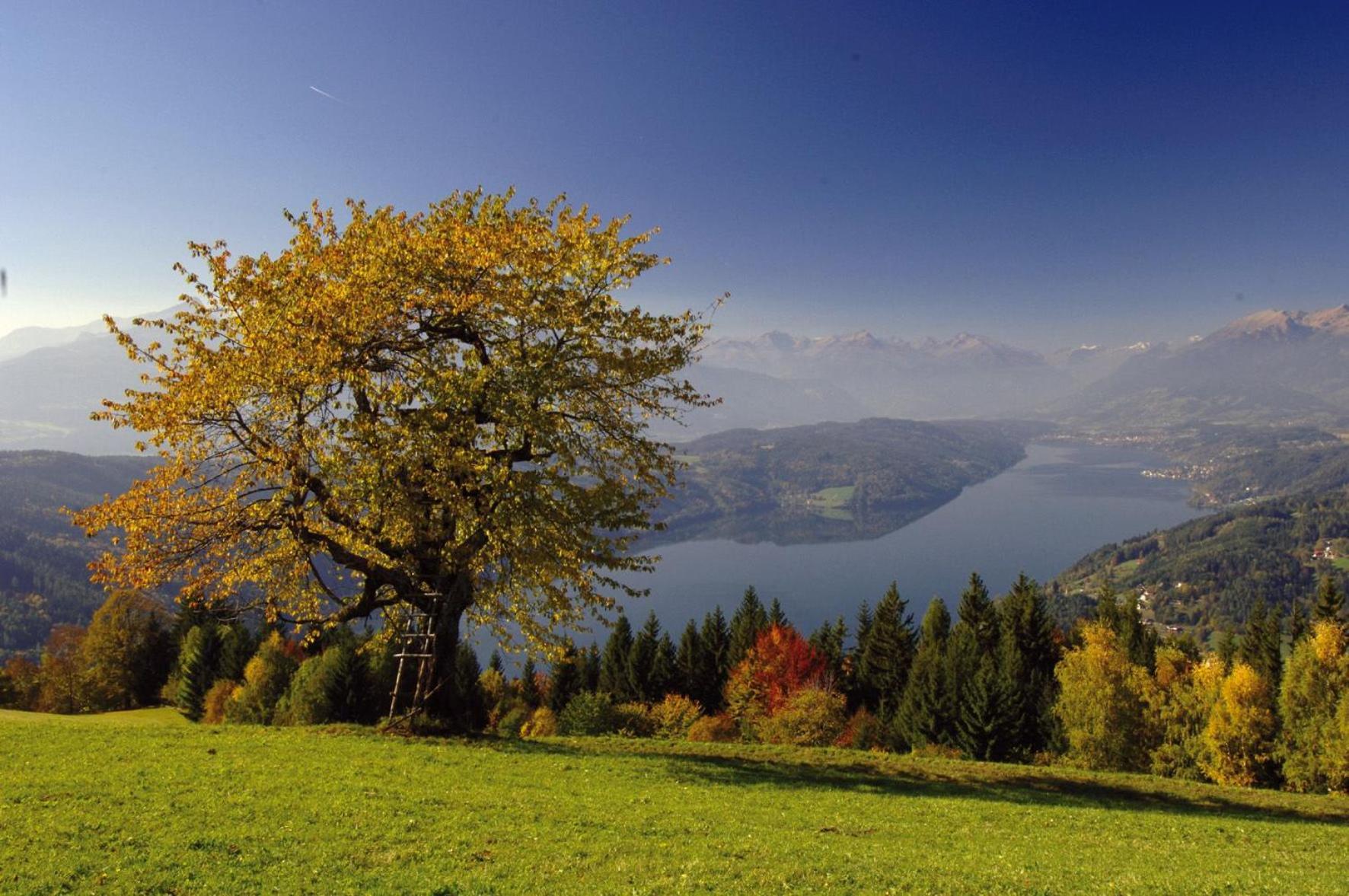 Gasthof Pension Perauer Lieserhofen Kültér fotó